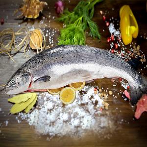 Семга атлантическая свежемороженая  5-6 кг