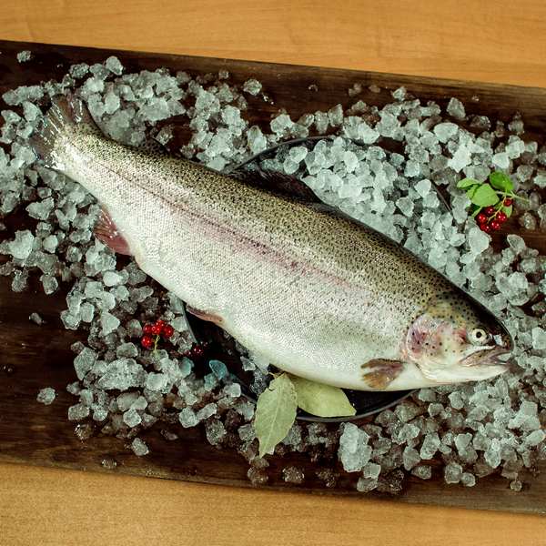 Форель охлаждённая н/р (1-2)