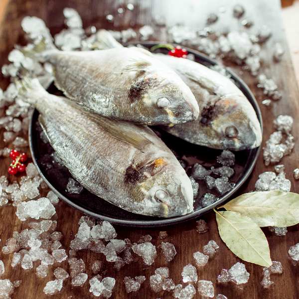 Дорадо свежемороженая