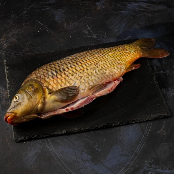 Сазан охлаждённый чищеный