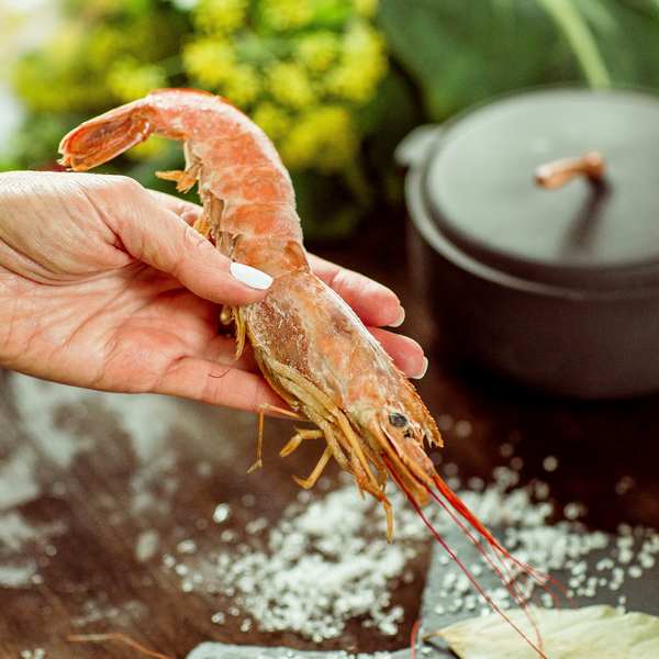 Лангустины L2 (21-30)